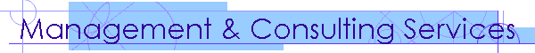 Management & Consulting Services